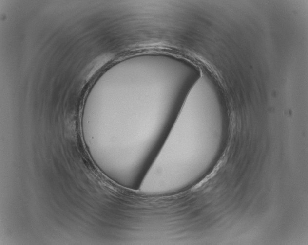 X0000073421162200607280928