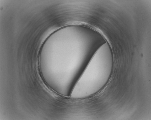 X0000073421187200607280927