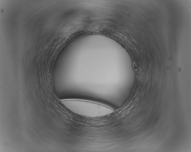 X0000073421201200607280926