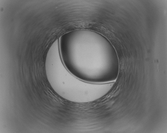 X0000073421202200607280926