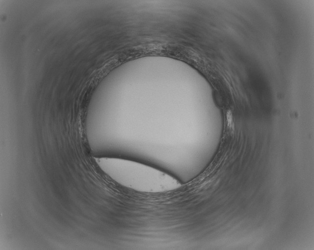 X0000073421203200607280926