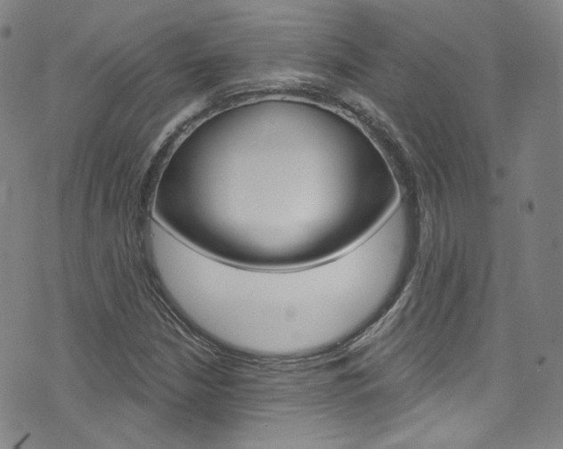 X0000073421210200607280927