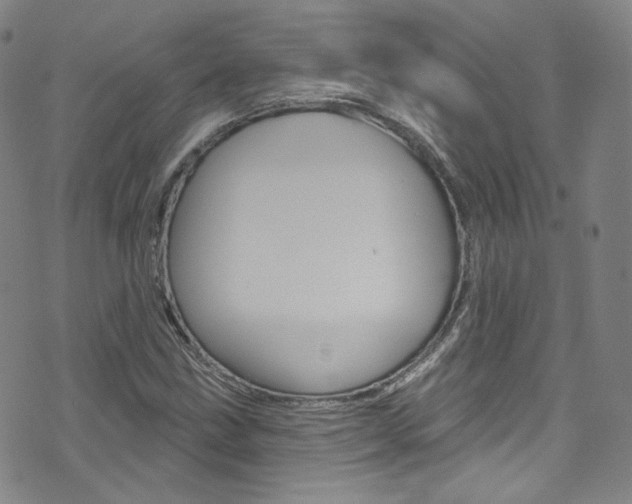 X0000073421211200607280927