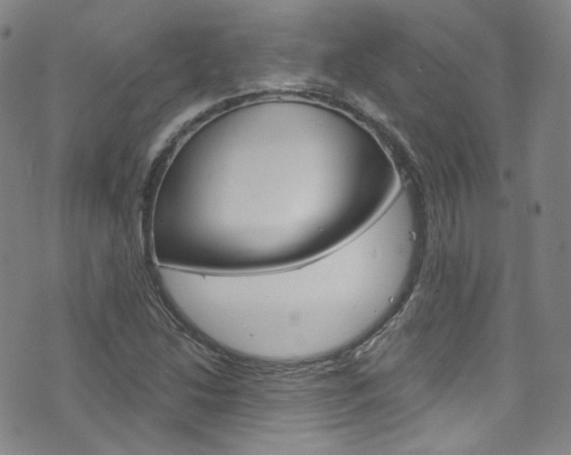 X0000073421214200607280927