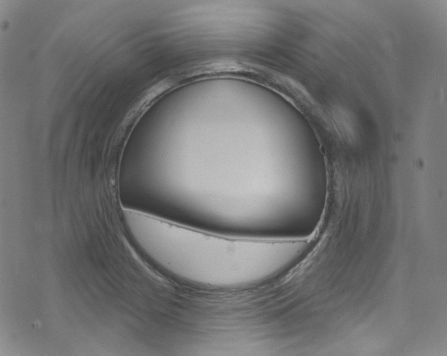 X0000073421225200607280927