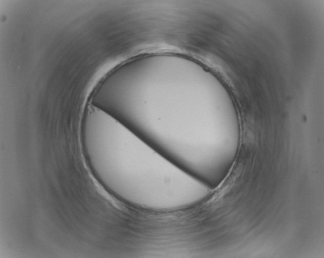 X0000073421231200607280927