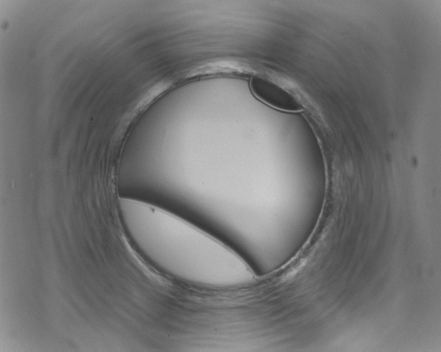 X0000073421233200607280927