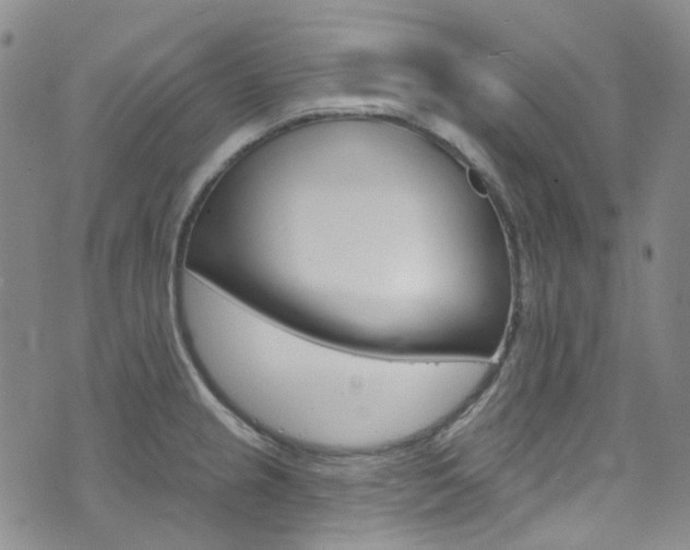 X0000073421237200607280927