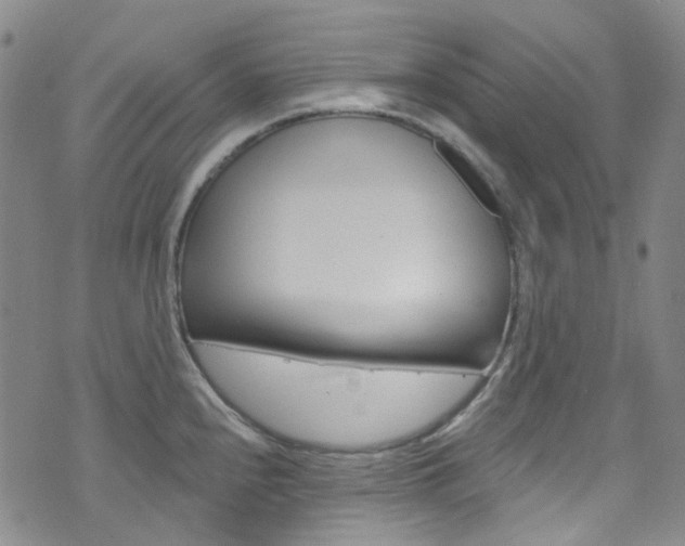 X0000073421240200607280927