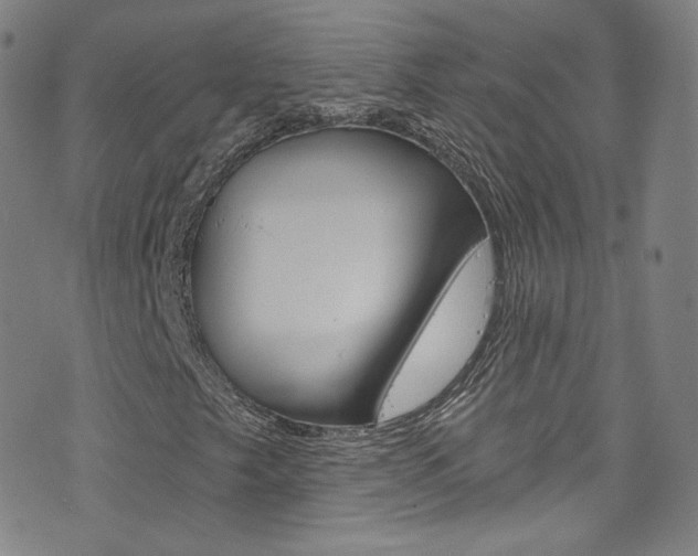 X0000073421249200607280926