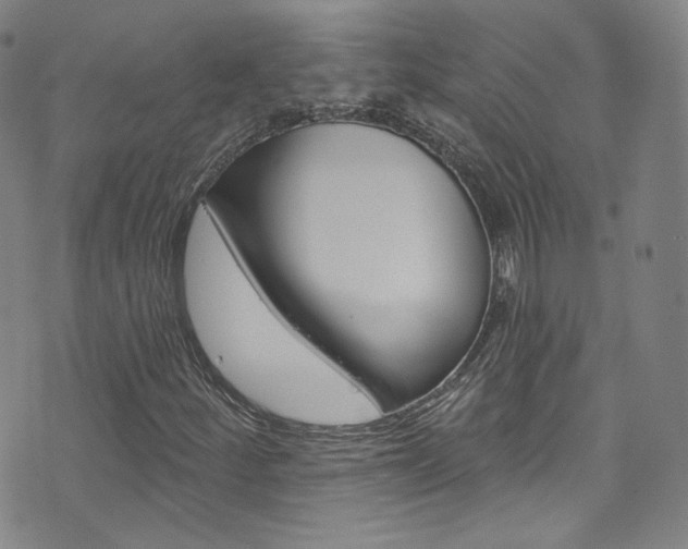 X0000073421252200607280926
