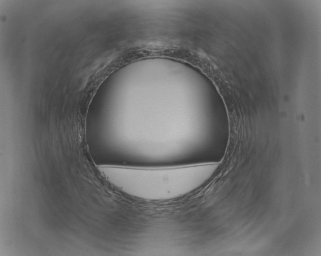 X0000073421253200607280926