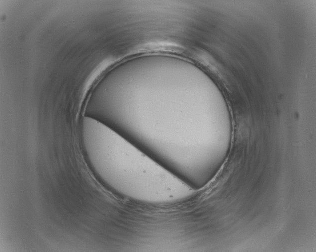 X0000073421275200607280926