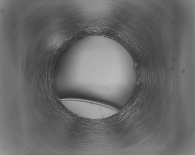 X0000073421297200607280925