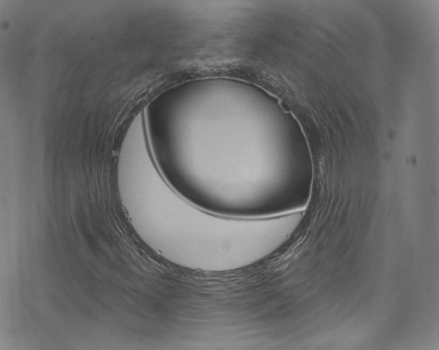 X0000073421300200607280925