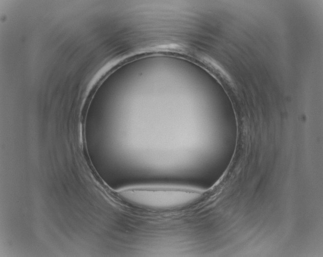 X0000073421324200607280925