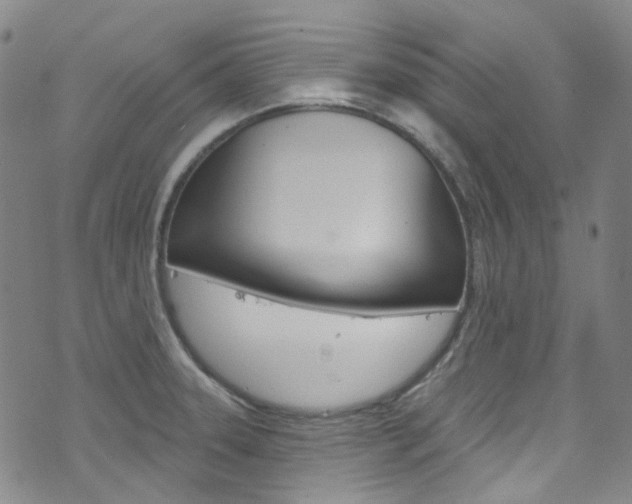 X0000073421331200607280925