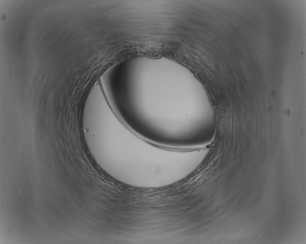 X0000073421345200607280925
