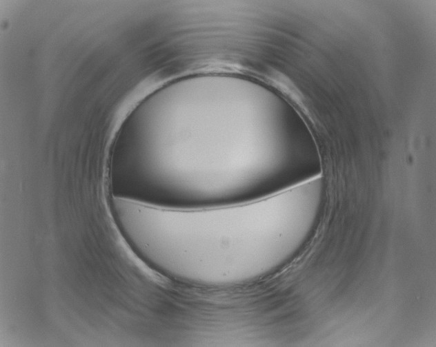 X0000073421379200607280924