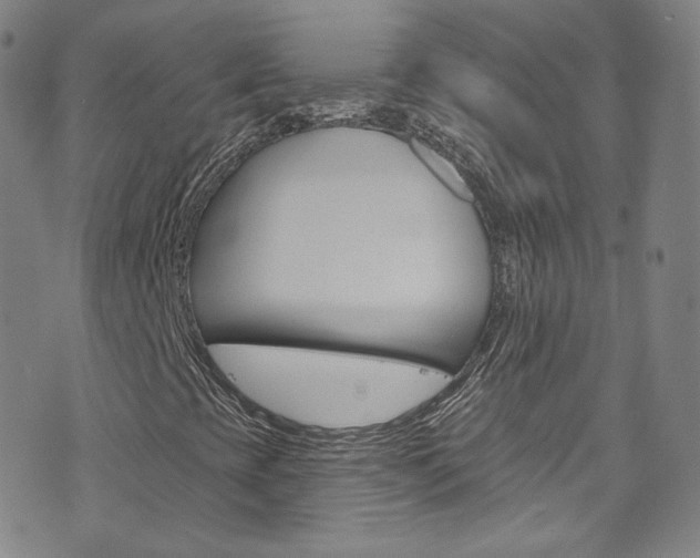 X0000073421393200607280923