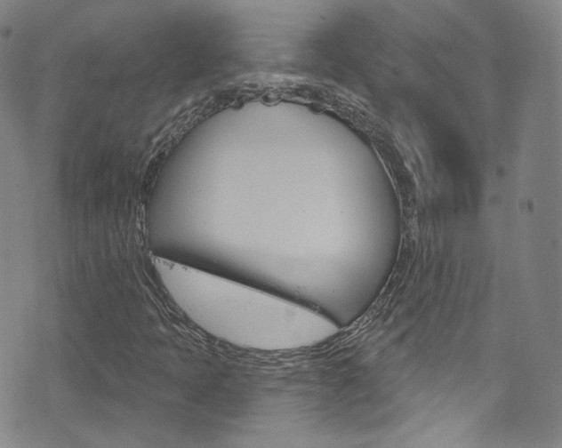 X0000073421397200607280923