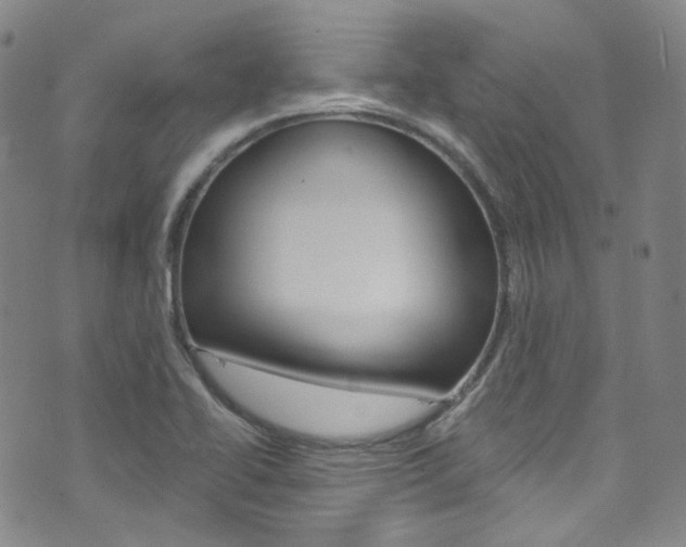 X0000073421414200607280924