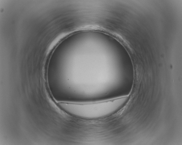 X0000073421422200607280924