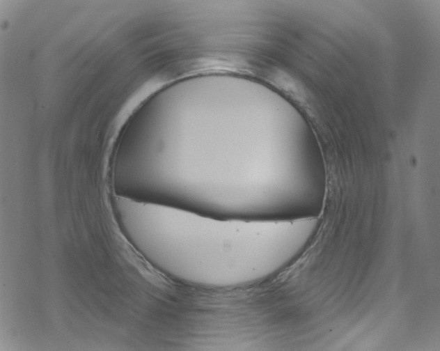 X0000073421427200607280924