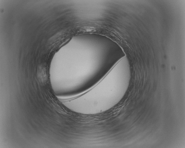X0000073421442200607280923