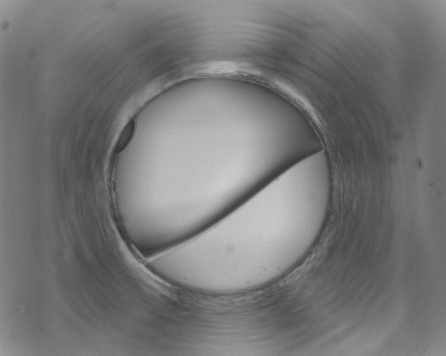 X0000073421475200607280923