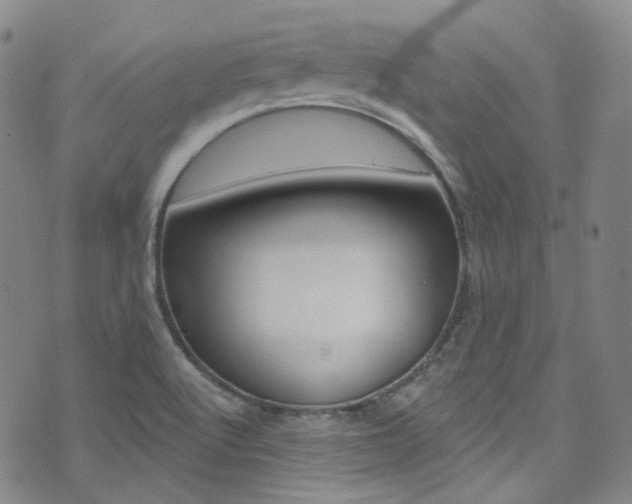 X0000073421512200607280922