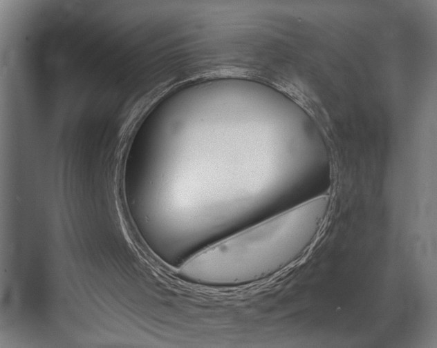 X0000073420001200607281204