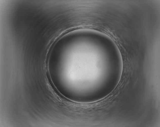 X0000073420002200607281204