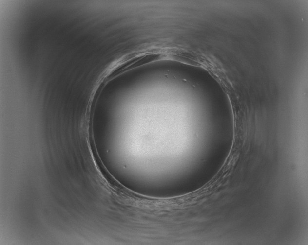 X0000073420003200607281204