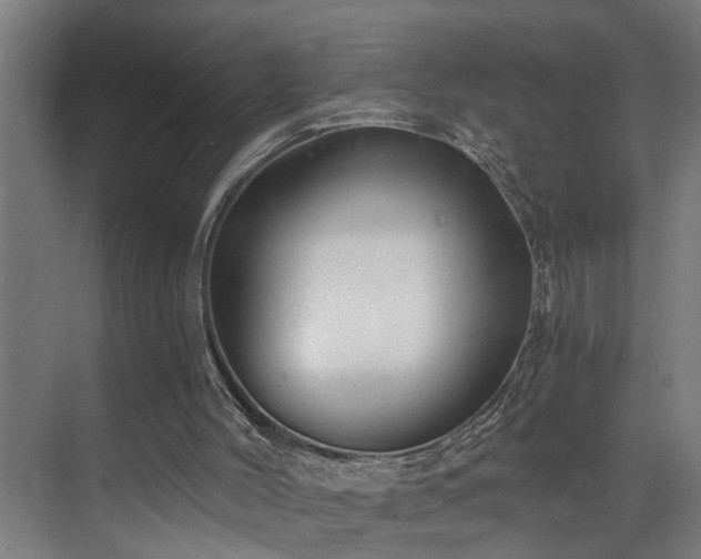 X0000073420004200607281204