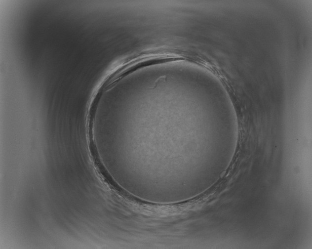 X0000073420006200607281204