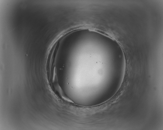 X0000073420007200607281204