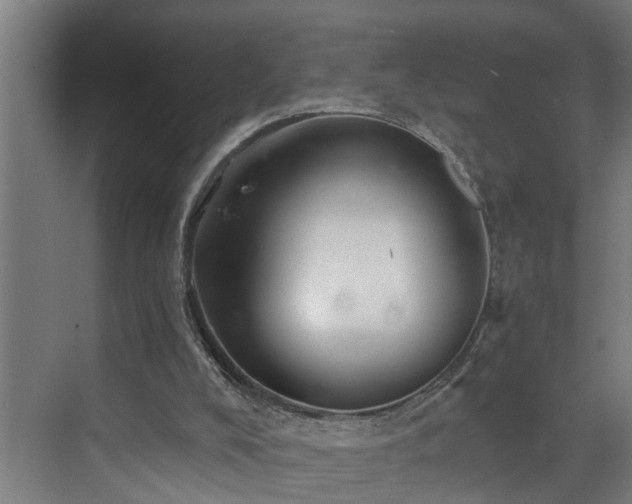 X0000073420008200607281204