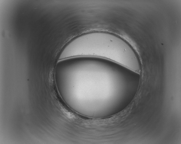 X0000073420009200607281204