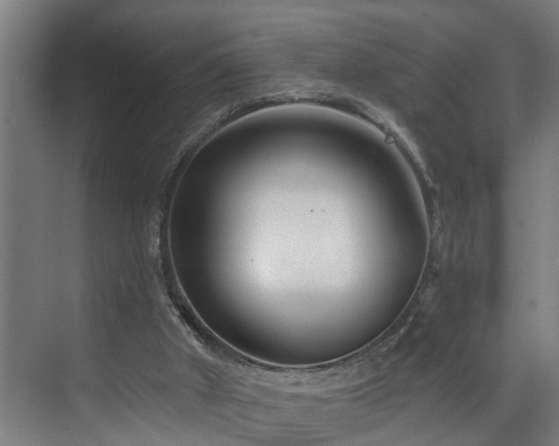 X0000073420010200607281204