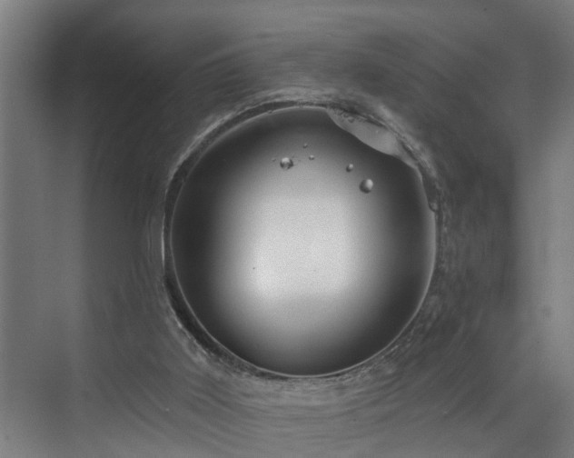 X0000073420011200607281204