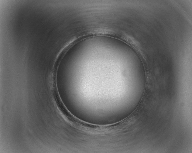 X0000073420012200607281204