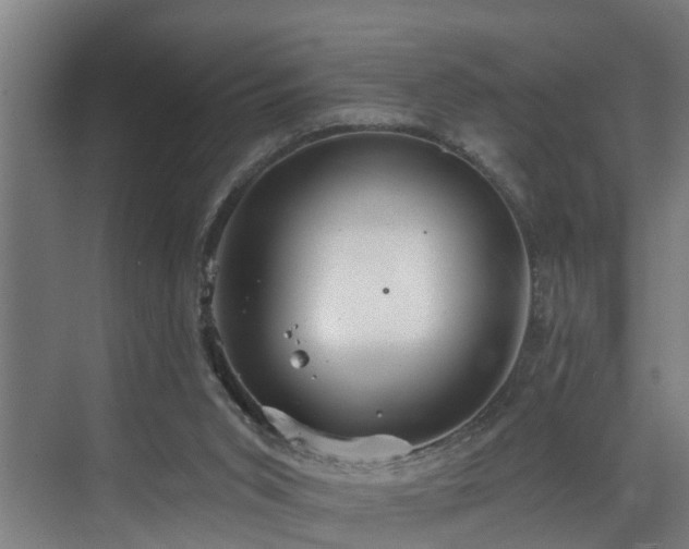 X0000073420015200607281204