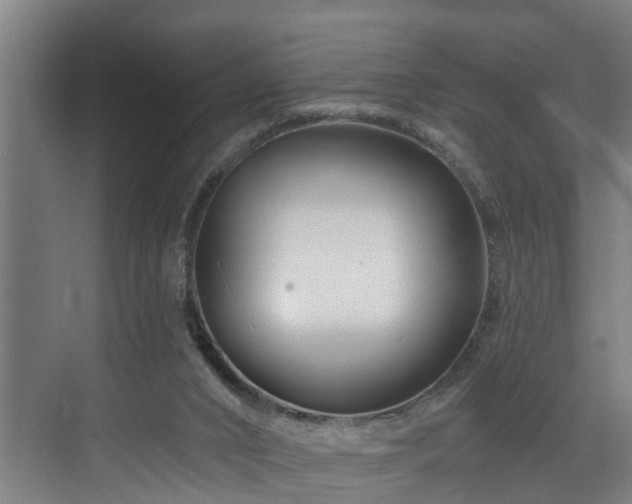 X0000073420016200607281204