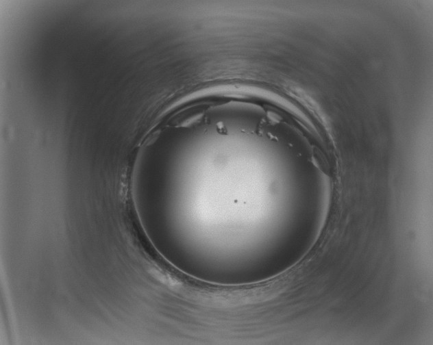 X0000073420017200607281204