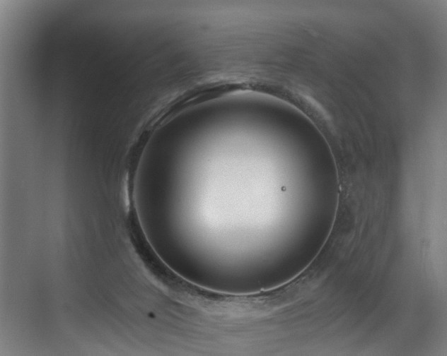 X0000073420020200607281204