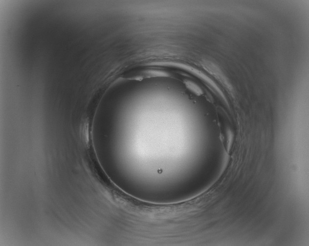 X0000073420021200607281204