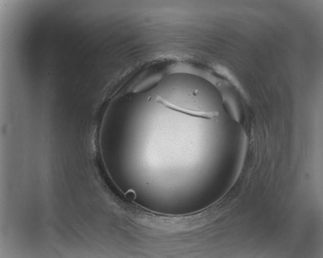 X0000073420023200607281204