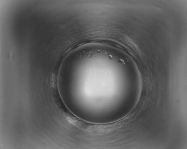 X0000073420025200607281204