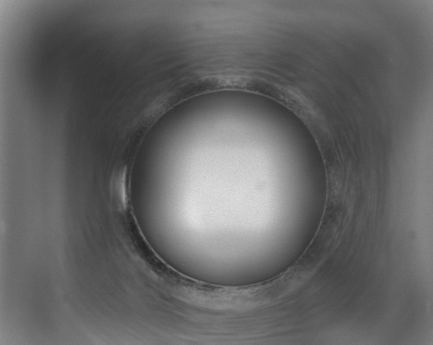 X0000073420028200607281204